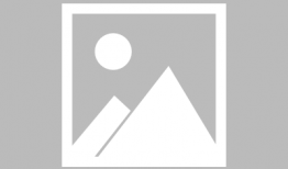 树枝状大分子,构建未来材料与生物技术的关键桥梁